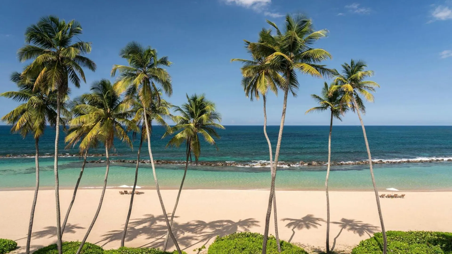 ***** Resort Dorado Beach, A Ritz-Carlton Reserve Porto Riko