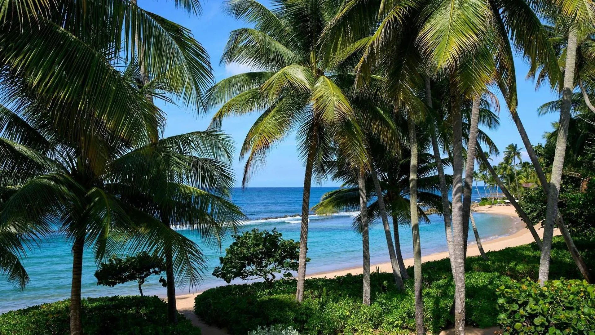 Dorado Beach, A Ritz-Carlton Reserve 5*,  Porto Riko